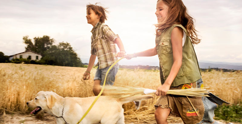 Ein Mädchen und ein Junge laufen mit einem Hund durch die Felder.
